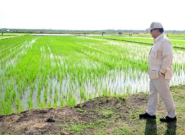 Prabowo Dorong Kopdes untuk Ketahanan Pangan Desa